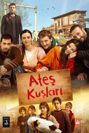 Xem Phim Chim Lửa - Ateş Kuşları HD Vietsub - Ateş Kuşları