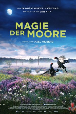 Xem Phim Magie der Moore - Magie der Moore HD Vietsub - Magie der Moore