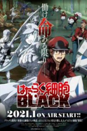Xem Phim Hoạt Hình Trung Quốc Hataraku Saibou Black - Cells at Work CODE BLACK HD - Vietsub - Cells at Work CODE BLACK